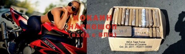 стафф Осинники