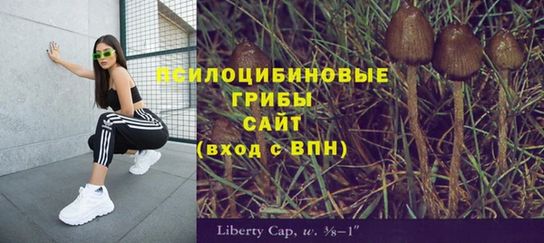 apvp Бугульма