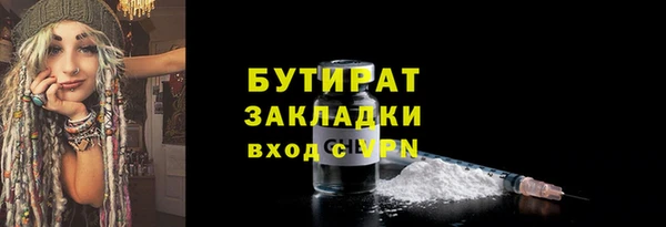 сатива Няндома