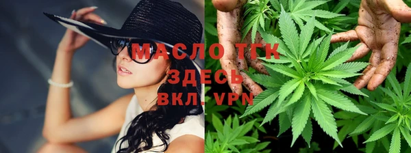 сатива Няндома